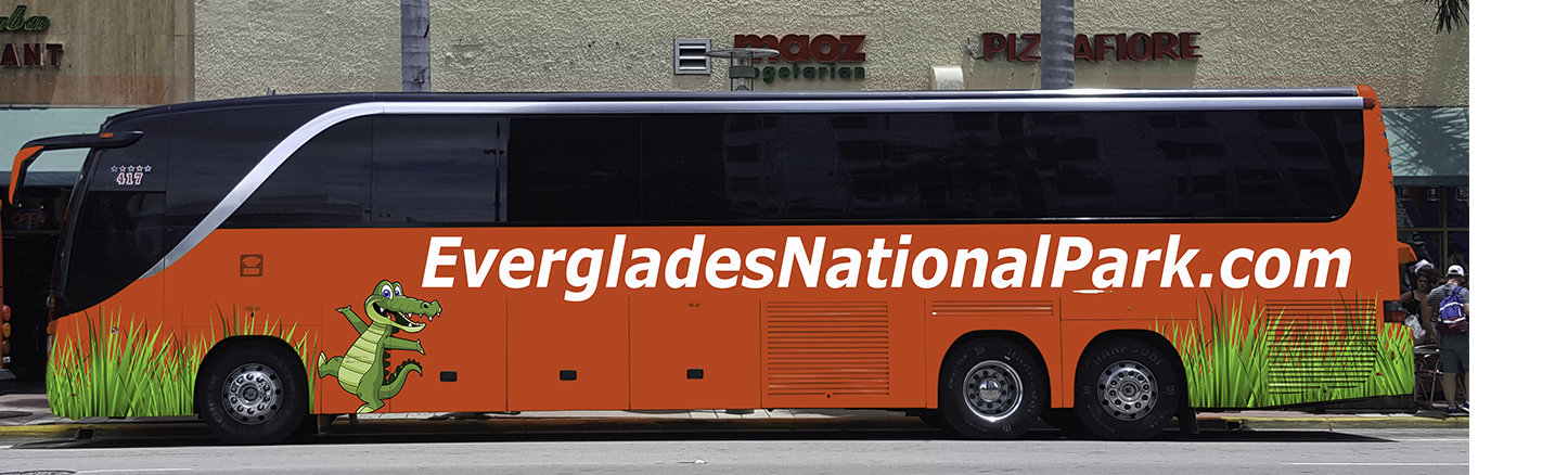 everglades-national-park-shuttle-bus-service-from-miami.jpg