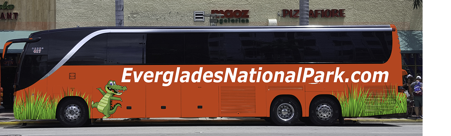 everglades national park bus tour